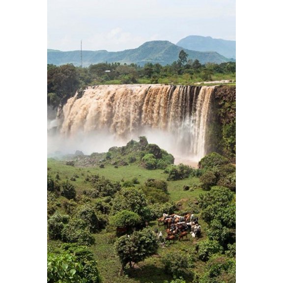 Tis Isat waterfall Blue Nile Ethiopia Canvas Art - Martin Zwick  DanitaDelimont (18 x 24)