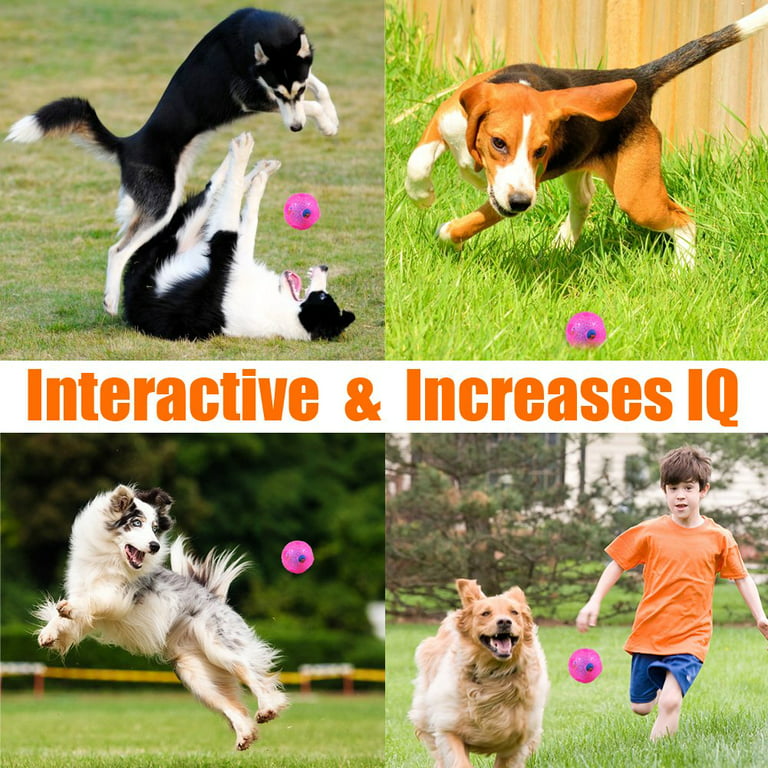 Killer's Instinct Outdoors Interactive Dog Treat Ball Toys, IQ Treat D –  Killer's instinct outdoors