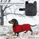 thumbnail image 4 of Abrigo de invierno para perros: chaleco impermeable, aislante y reflectante del calor, chaqueta para la nieve, ajuste rápido, para razas pequeñas y grandes., 4 of 6