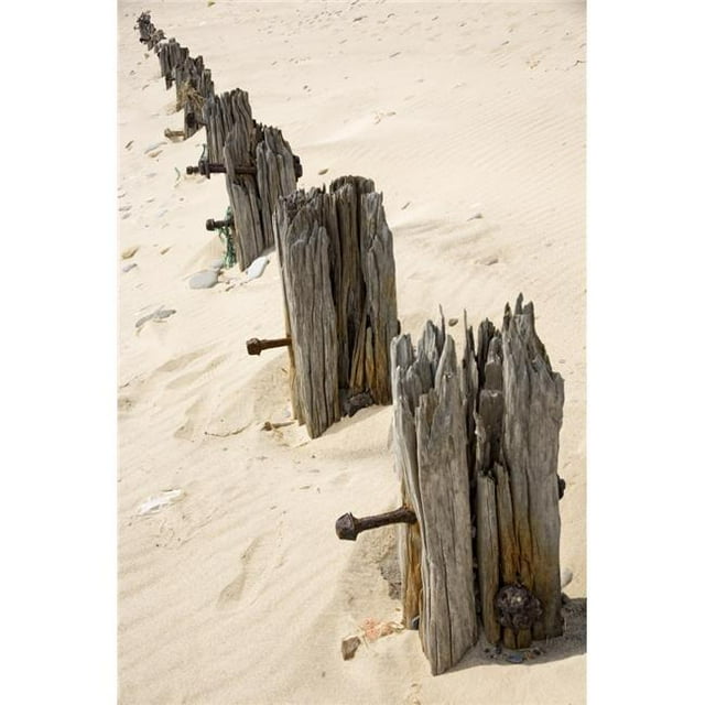 Posterazzi DPI1828451LARGE Poster Imprimé de Sable par John Short, 24 x 36 - Grand