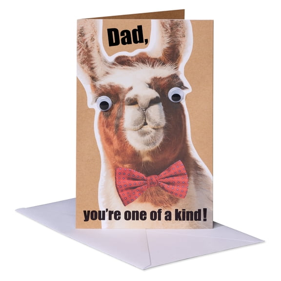 American Greetings Funny Birthday Card for Dad (One of a Kind)
