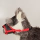 thumbnail image 1 of Cubierta protectora para la boca del perro, XL Ajustable Transpirable Evitar comer Evitar los ladridos Bozal para mascotas para exteriores, 1 of 8