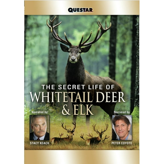 The Secret Life of Whitetail Deer and Elk