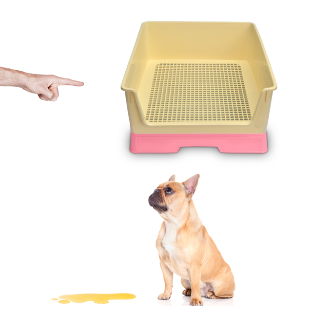 Baño para Perros KE WOOW PAREDES ALTAS Inodoro Tapete Entrenador Color Rosa