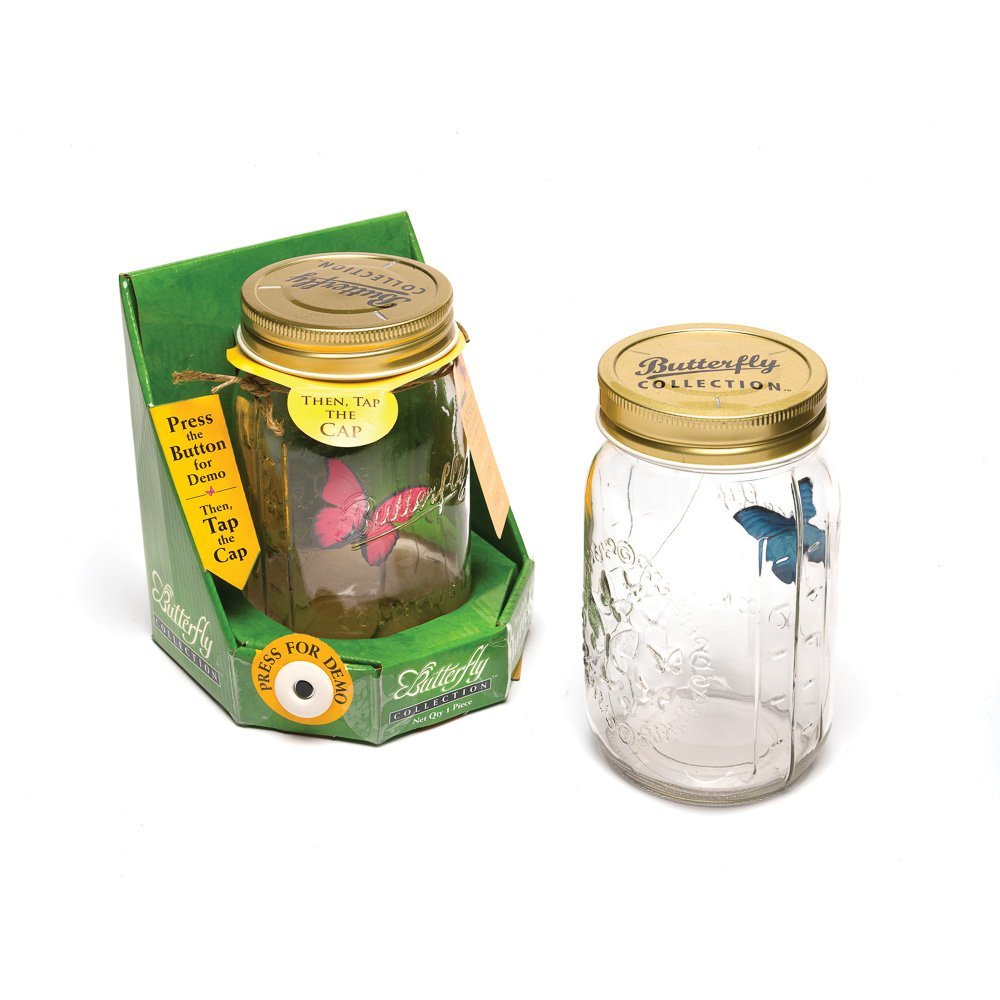 butterfly jar cat toy