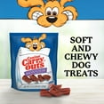thumbnail image 5 of Canine Carry Outs Bacon Flavor Dog Treats, 47oz Bag, 5 of 9