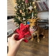 thumbnail image 4 of Barkwow Christmas Gift Set Box for Small Dogs, 4 of 4