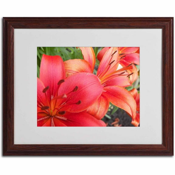 Trademark Fine Art "Lehua" Canvas Art by Monica Fleet, White Matte, Wood Frame