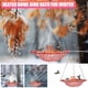 thumbnail image 5 of ¡Super Descuento!, Nuevo baño para pájaros con calefacción para el invierno Baño para pájaros con hielo derretido Akmoler, 5 of 8