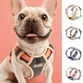 thumbnail image 1 of Flmtop Pet Harness Adjustable Luminous Fabric Dog Double-sided Breathable Chest Strap for Outdoor Pink, 1 of 9