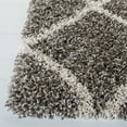 thumbnail image 3 of SAFAVIEH Hudson Shag Jackson Trellis Area Rug, Grey/Ivory, 4' x 6', 3 of 8