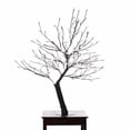 thumbnail image 3 of Outdoor Cherry Blossom Tree 200 White LED (Hi-Line Exclusive), 3 of 4