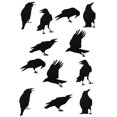 thumbnail image 1 of Autocollants Corbeau Noir, 1 of 8