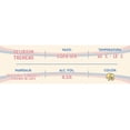 thumbnail image 4 of Delirium Tremens Caja 24 Pack 330Ml Delirium Tremens Minerva Belgian Strong Pale Ale, 4 of 4