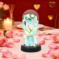 thumbnail image 6 of Dianli Valentine's Day Gift Everlasting Flower Dome Dried Rose Bouquet With Soap Flowers Luminous LED Base Romantic Birthday Home Decor Preserved Roses, 6 of 6
