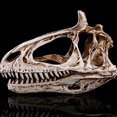 thumbnail image 2 of 1PC Cryolophosaurus Skull Ornament Simulated Dinosaur Skull Decor Resin Cryolophosaurus Skull Crafts Dinosaur Skull Model Decor Retro Home Decor for Home Bar Decor, 2 of 5
