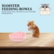 thumbnail image 5 of 3pcs Hamster Alimentando Tazones Cuencos en forma de corazón Cuencos de alimentación de cerámica Hamster Food Bowls, 5 of 7