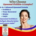 thumbnail image 5 of Liposomal Urolithin-a Supplement, Maximum Metabolism, Healthy Aging & Wellness, 240 Softgels, 5 of 10