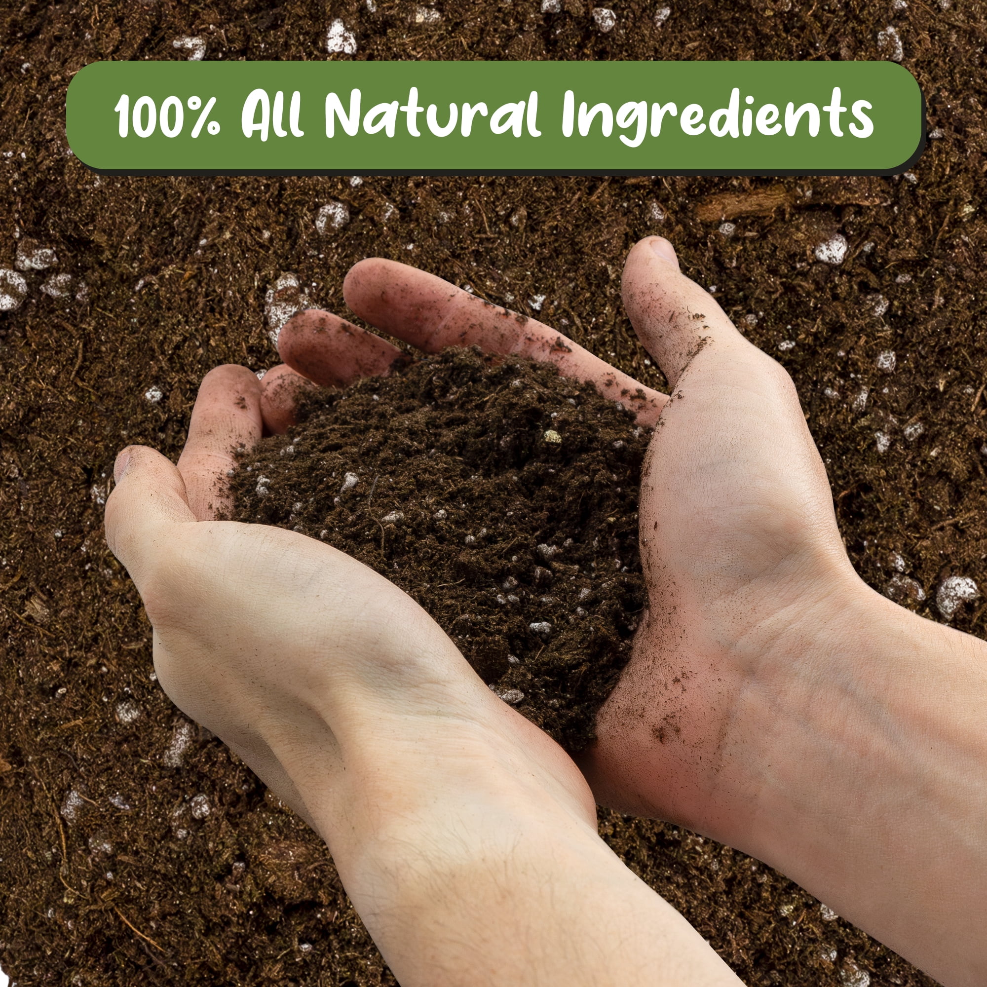 Soil Sunrise Tropical House Plant Potting Mix (12 Quarts); for All Types of Indoor House Plants