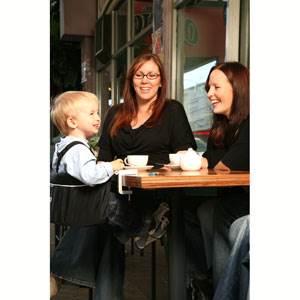 phil and teds metoo portable high chair