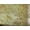 Yellow, variant on Decorative Silk Inc Sequin lace Fabric with embroderies on mesh VT-011 (1 Yard, Yellow)