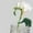 Mint Green, variant on Propagation Breeding Rattan Clip Cute Cutting Holder Supports for Buds and Cuttings Growth Tools for Indoor Gardening and Propagation Stations
