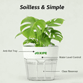 thumbnail image 5 of Plastic Self Watering Pots for Indoor Plants with Water Level Window, Bottom Watering Planter with Cotton Wick, No Root Rot Self Watering Pot with Reservoir for Home & Office, 5 of 6