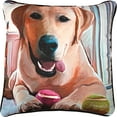 thumbnail image 2 of Manual Tennis Anyone Yellow Lab Paws and Whiskers Decorative Square Pillow, 18-Inch, 2 of 2