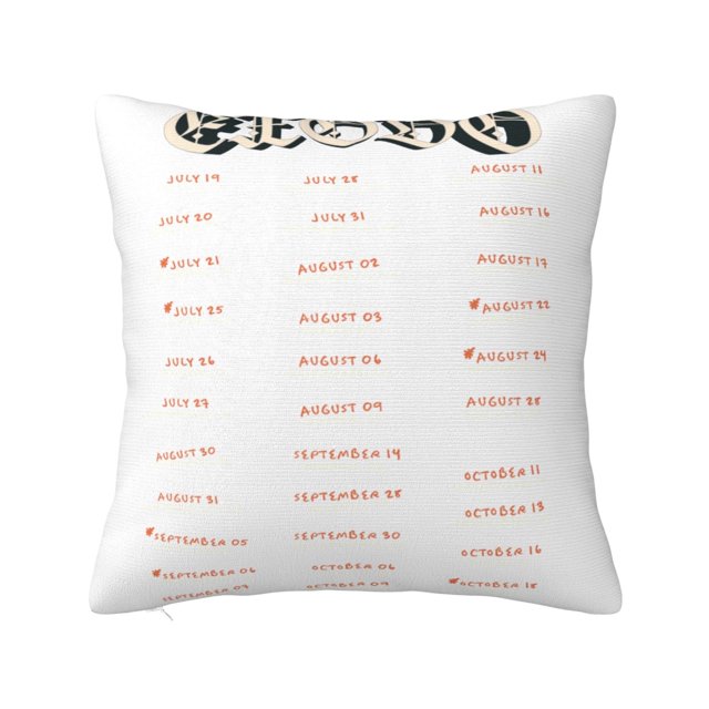 Funda de almohada súper suave Peso Pluma con cremallera para dormitorio, sofá, sillón, fundas de almohada mullidas y acogedoras para todas las estaciones, almohada cuadrada