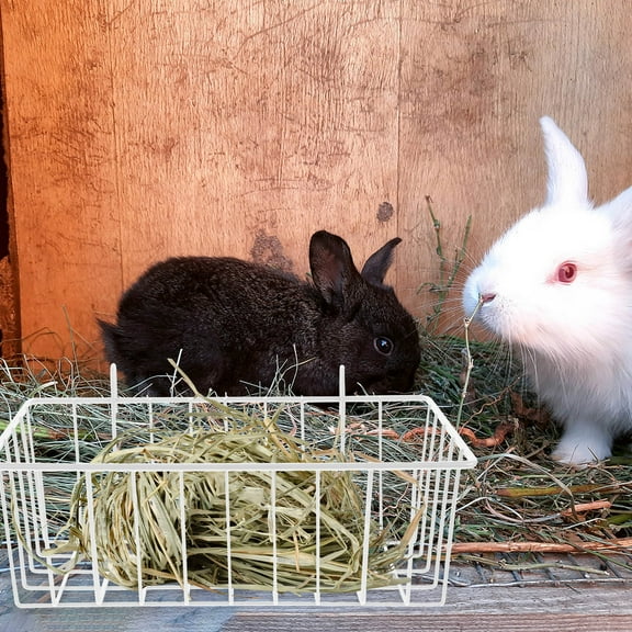 Raindrops  Rabbit Hay Feeder Feeders for Cages Holder Rabbits Bunny White