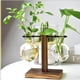 thumbnail image 3 of Terrario de bulbos de cristal para plantas, jarrón transparente, macetas retro con soporte de madera Style2, 3 of 6