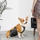 thumbnail image 1 of Ropa para perros Salvador cómoda y lavable para mascotas Gris S, 1 of 10