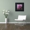 thumbnail image 3 of Trademark Fine Art "Cherry Blossom Cluster" Canvas Art by Kurt Shaffer, Black Matte, Black Frame, 3 of 4