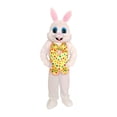 thumbnail image 1 of Disfraz de conejo de Pascua, disfraz de de Pascua, disfraz de adulto, disfraz de cosplay de cuerpo completo para fiesta de actuación en Amarillo, 1 of 9