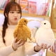thumbnail image 4 of Juguete de peluche de Kiwi Bird realista para niños, almohada suave, animales de peluche lindos de Nueva Zelanda, regalo de cumpleaños, 20-50cm, 4 of 5