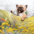 thumbnail image 3 of Yiaed Flowers And Butterflies Print Dog Blankets-Cat Blanket Washable for Couch Protection,Puppy Blanket, Soft Plush Reversible Throw Furniture Protector-, 3 of 8