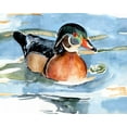 thumbnail image 2 of Parker, Jennifer Paxton 32x26 Black Ornate Wood Framed with Double Matting Museum Art Print Titled - Watercolor Woodduck II, 2 of 4