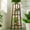 3 Tier (31.6x2.7x97.2cm), variant on Multi-Tier Bamboo Plant Stand – 3-Tier Wooden Flower Rack & Bonsai Display Shelf, Indoor/Outdoor Plant Ladder, Dark Brown