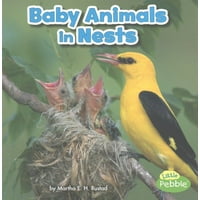 Baby Animals in Nests
