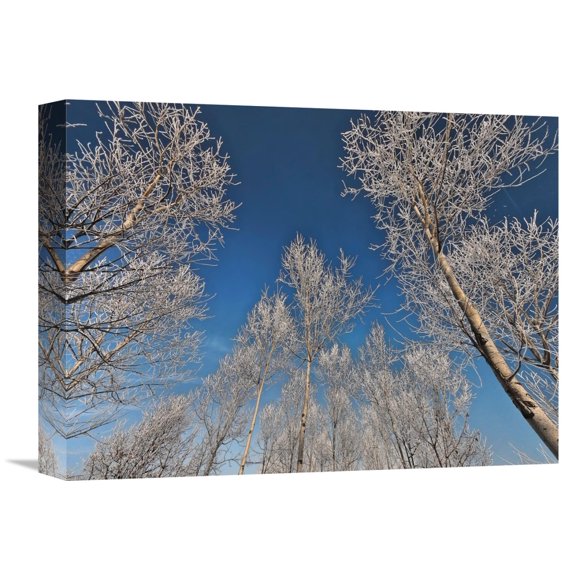 Fulvio Ferrua 'Sottozero' Canvas Wall Art