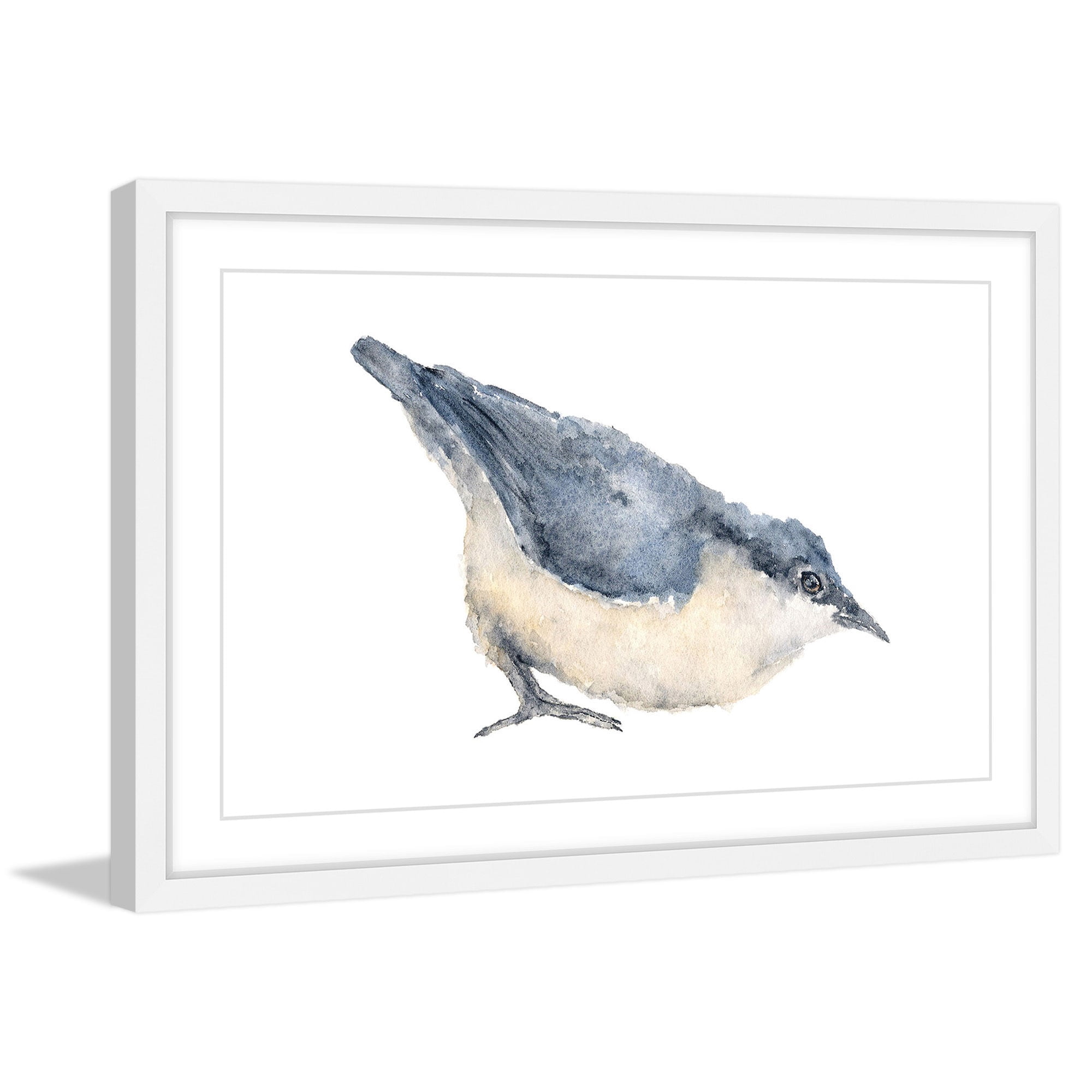 "Nuthatch Bird" Framed Painting Print