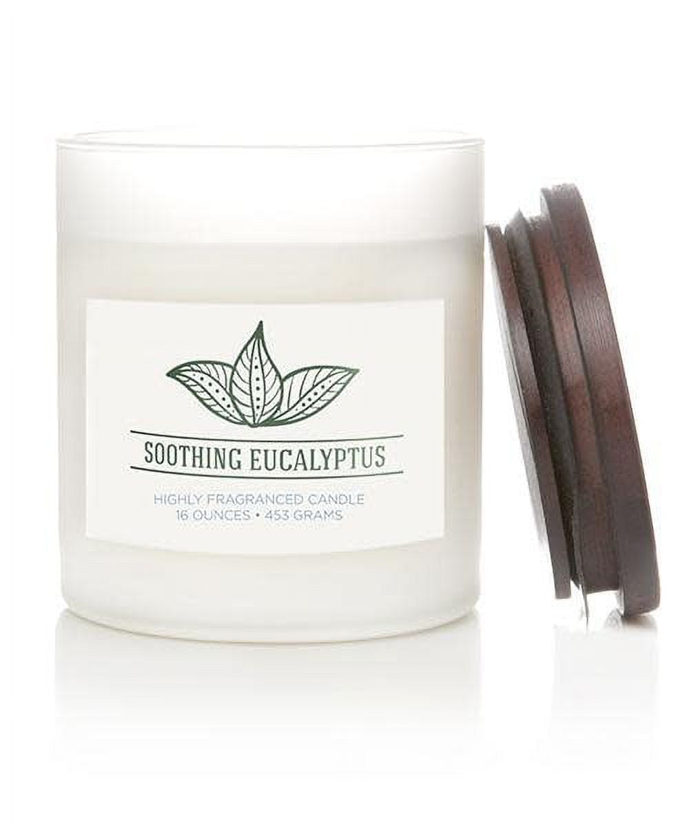 Colonial Candle Wellness Soothing Eucalyptus Candle, 2 Wick, 16 oz, 60 Hours Burn, Woody & Earthy