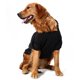thumbnail image 5 of s 3 piezas suéter para mascotas ropa para perros suéter con capucha ropa para mascotas S, 5 of 5