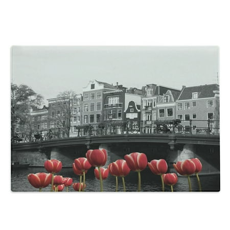 

Black and White Cutting Board Monochrome Photo of Amsterdam Canal with Red Tulips and Houses Decorative Tempered Glass Cutting and Serving Board Large Size Black White and Red by Ambesonne