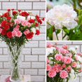 thumbnail image 3 of 1Pc Carnation Artificial Flower Fake Plant Home Decor Wedding Party Centerpieces, 3 of 9