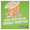 thumbnail image 5 of Doublemint Slim Pack Gum (Packaging May Vary)15.0eaPack of 2, 5 of 6