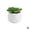 G, variant on Artificial Potted Plant Succulent W/ Pot Small Faux Fake In/Outdoor Cacti U9L9