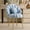 Blue, variant on Ktaxon Vanity Makeup Chair with Teddy Velvet, Shell Design Accent Desk Chair with Lumbar Pillow and Gold Legs, Office Seating for Women Pink