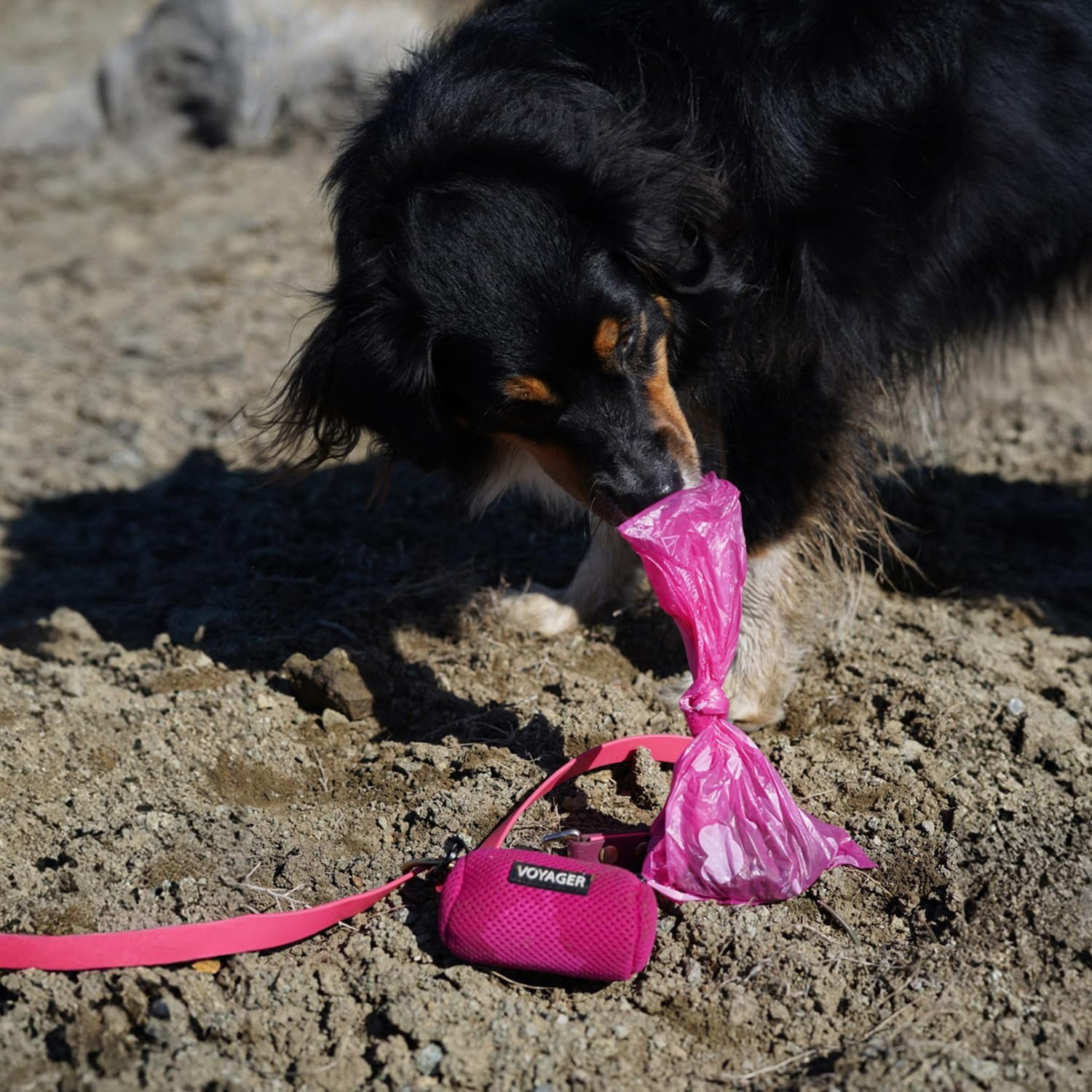Dog Poop Bags, Roll Replacements for Outdoor Walking and Travel - Pink Heart, 360 Bags