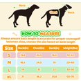 thumbnail image 2 of Impermeable y Zapatos para Perro Sunnymove para perros de 4.5-10 kg Amarillo (es_MX), 2 of 6